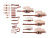 BHFQ23P135